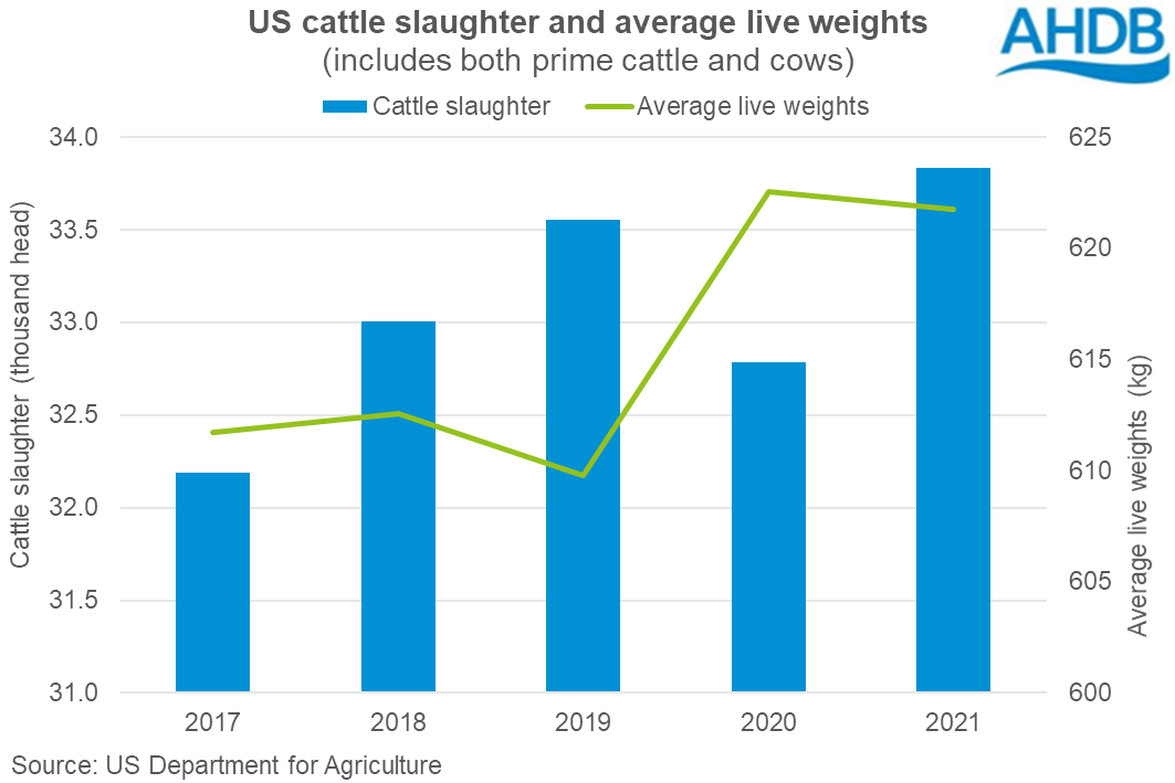 Graph showing US annual cattle slaughter and carcase weights